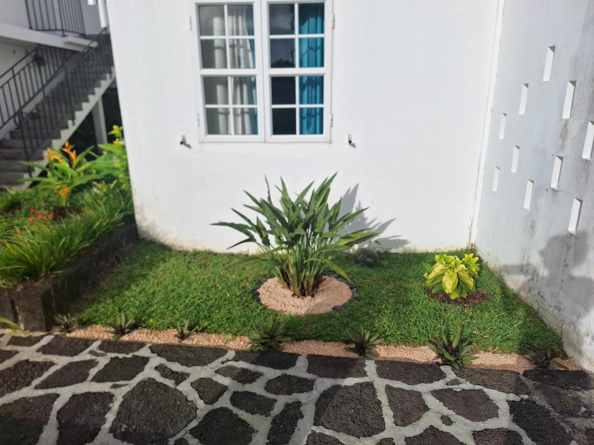 Le Beau Manguier Residence Pereybere Beach Extérieur photo